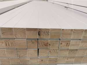 Pj radiata pj radata אורנים מעץ רך - Product Image 6