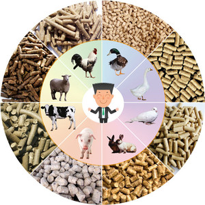 Máquina <span class=keywords><strong>de</strong></span> Pellets <span class=keywords><strong>de</strong></span> Alta Calidad para Hojas <span class=keywords><strong>de</strong></span> Moringa y <span class=keywords><strong>Alfalfa</strong></span> para Ganado, 1-3 T/H, Planta <span class=keywords><strong>de</strong></span> Producción <span class=keywords><strong>de</strong></span> Pellets <span class=keywords><strong>de</strong></span> Biomasa/Alimento para Animales - Product Image 6