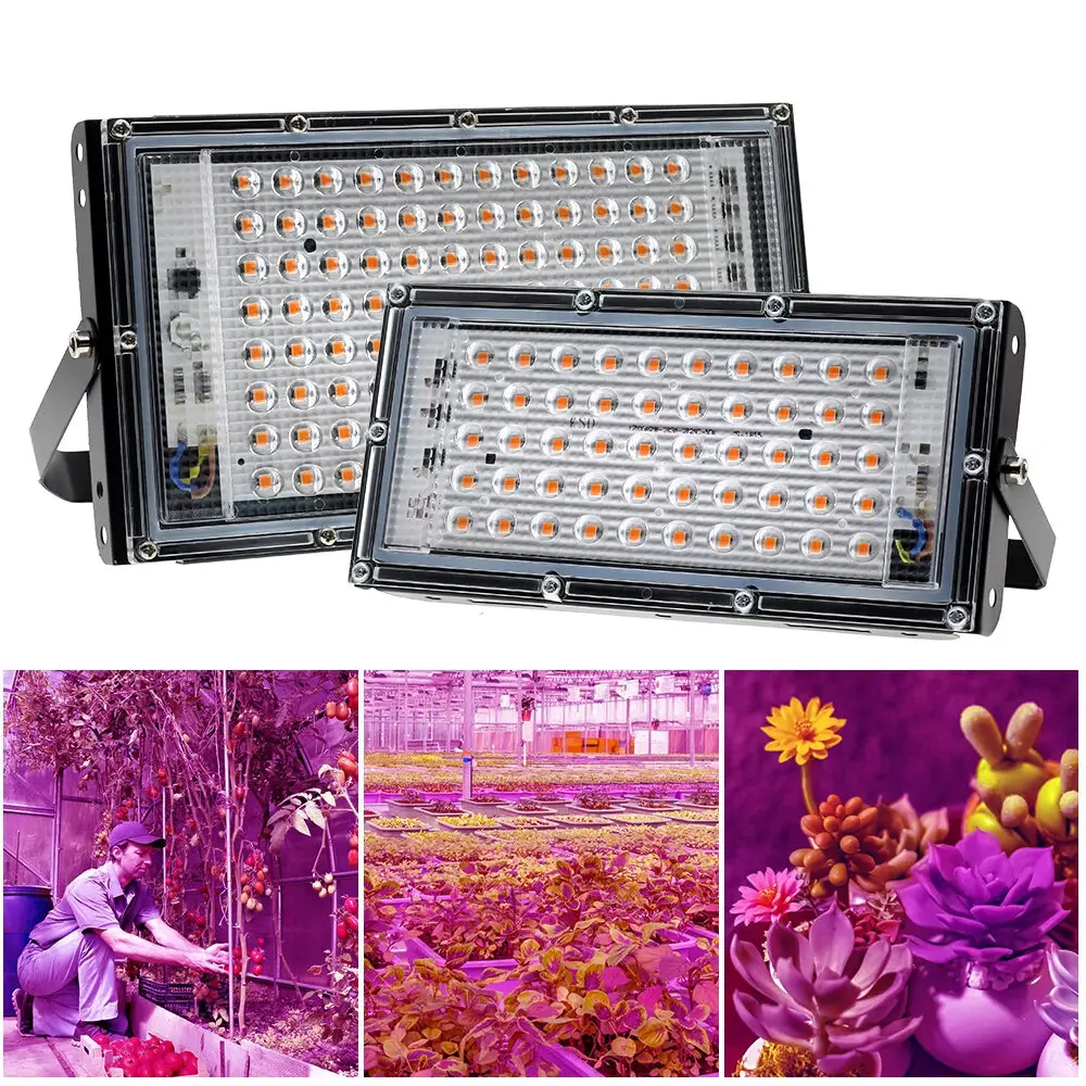 Luz LED para cultivo Phyto Lamp 50W 100W 200W Reflector LED de espectro completo Interior Exterior Invernadero Planta Iluminación de crecimiento hidropónico