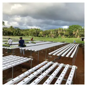 Popular en Island Country Ahorro de agua Plantación al aire libre NFT sistema hidropónico interior NFT sistema hidropónico vertical