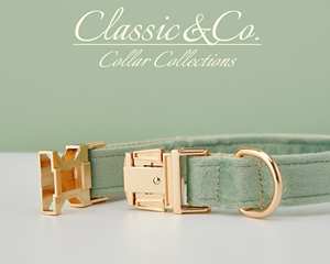 Saegreen Veet personalizado Do Collar Bow Tie Leash Set, personalizado Enraved Pet Name Metal Buckle, cumpleaños cachorro regalo, gratis - Product Image 5