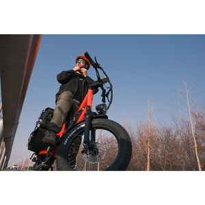 Vélo <span class=keywords><strong>cargo</strong></span> électrique 20 pouces pour adultes, homologué EEC/COC, vente en gros usine pour la livraison - Product Image 4