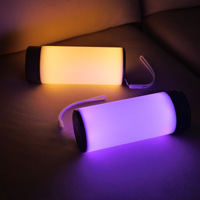 Lampe de table LED ABS à commande tactile avec batterie rechargeable, design nordique Boyid, pour chambre à coucher, salle à manger, bureau, veilleuse