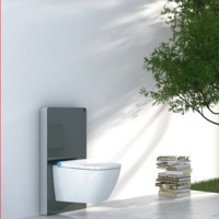 WC intelligents suspendus au mur certifiés CE, 220V, norme européenne, avec chasse cyclonique