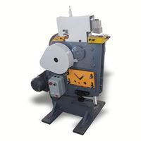 Cisaille électrique multifonction Novison (Machine à découper les profilés) pour profilés en angle et en U, force élevée de 360 kN, 380 V, 2,2 kW, garantie 1 an