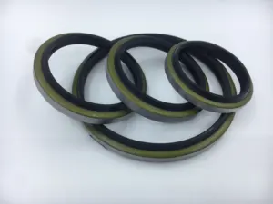 Puxiang Bonded Seal Manufacture GA DKB DKBI DH DHS LBH JA K30 Rubber Bearing PU Oil Seal Hydraulic Cylinder Dust Wiper Seal