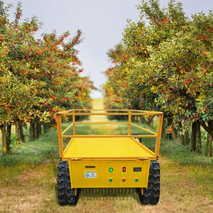 Joyance Tondeuses à gazon autopropulsées à batterie sans fil à haut rendement et bon marché Tondeuse à gazon à essence Tracteur Tondeuse à gazon de jardin Vente en gros