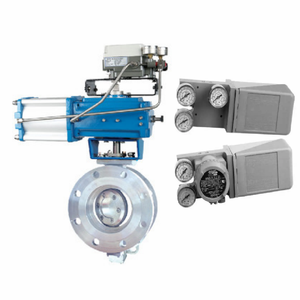 ควบคุมด้วยอุปกรณ์อิเล็กทรอนิกส์ Masoneilan 4700e/4800e สำหรับตัวเครื่องโลหะ - Product Image 3