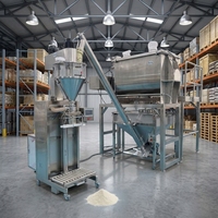 Machine de remplissage de poudre d'avoine et de farine de blé de 25 kg, ligne d'emballage de poudre de talc de 20 kg, distributeur de poudre protéinée à vis sans fin