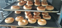 Automatische Bagel Vormen Walsmachine Voor Tarwemelk Fruit Water Ingrediënten