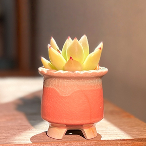 Maceta de Cerámica Ecológica con Degradado de Color Macaron, con Orificio de Drenaje, Decoración Creativa para Interiores - Product Image 4