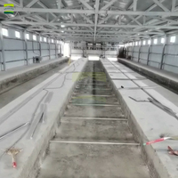 Projet professionnel de planification globale, de conception, de construction et d'installation d'une ferme ovine de 4000 têtes