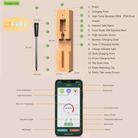 Termometer Panggangan Daging Digital Nirkabel Pintar Koneksi Aplikasi Seluler Tahan Air Monitor Suhu Makanan Panggang Oven