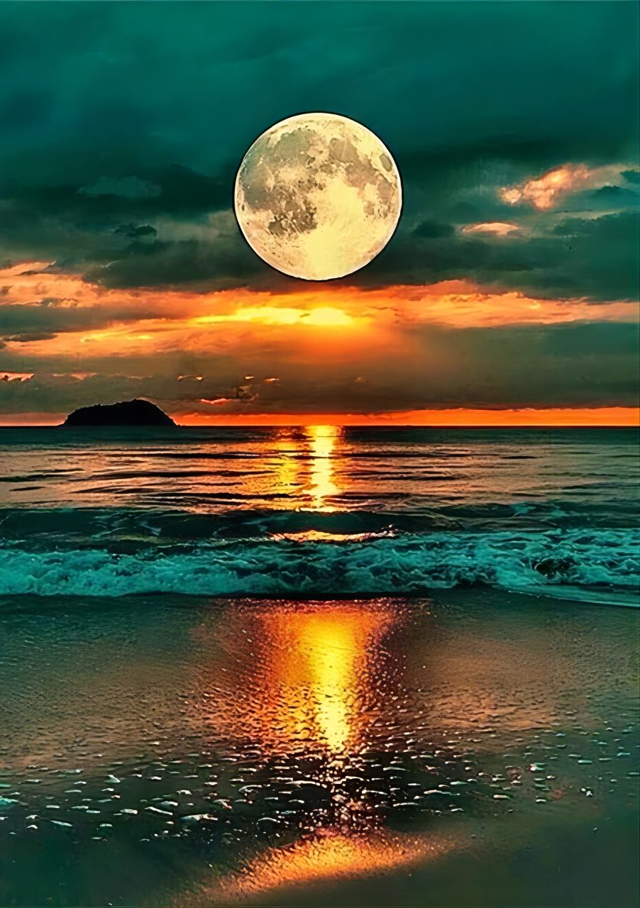 Colore come mostrato colorato