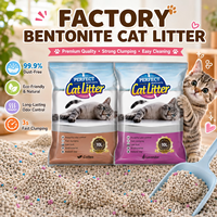 Litière pour chat en bentonite écologique de qualité supérieure, 99 % sans poussière, forte absorption, contrôle des odeurs, parfum personnalisé, vente en gros d'usine, OEM