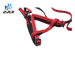 TC1108 vente en gros de produits innovants <span class=keywords><strong>pour</strong></span> animaux de compagnie <span class=keywords><strong>pour</strong></span> le jardin de la maison bandes de <span class=keywords><strong>laisse</strong></span> élastiques <span class=keywords><strong>pour</strong></span> <span class=keywords><strong>chien</strong></span> et ensemble de colliers - Product Image 3