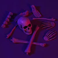 10 Piezas de Modelo de Esqueleto Humano Desmontable - Accesorios de Decoración de Halloween para Casa Embrujada, Fiestas y Educación Científica
