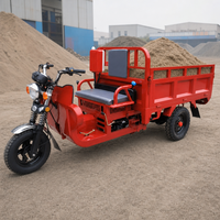 Tricycle utilitaire à essence à 3 roues avec grande caisse en acier et hayon, moteur à essence, véhicule utilitaire longue portée, moto de marché