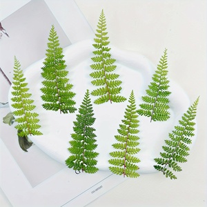 Felci pressate essiccate verdi per timbri di sigillo di cera fai da te colla goccioline per decorazioni segnalibri biglietti d'auguri dipinti di fiori secchi - Product Image 1