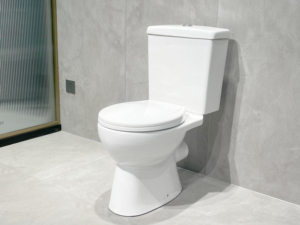 WC à deux pièces compact, standard européen, sanitaire, cuvette à double chasse, montage au sol, siphon en P de 180 mm - Product Image 5