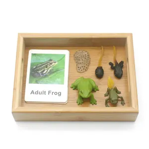 农场动物小雕像鸡蚁青蛙海龟蚊子的生命周期，塑料食物链动物玩具套装