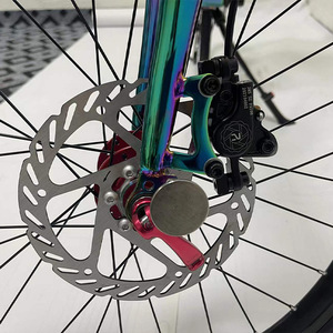 Vélo pliant 20/22 pouces, tube droit, 10 vitesses, freins à disque en aluminium, roues 451, finition dorée électrolytique, 10s, tube droit 20/22 pouces, 10 vitesses - Product Image 6