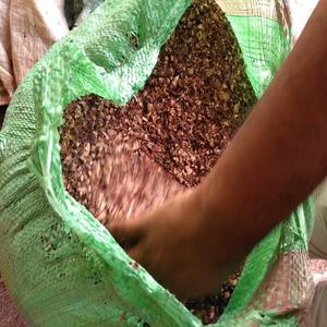 ผงเปลือกเม็ดมะม่วงหิมพานต์สีน้ำตาลแห้งขายส่ง ขนาด 3-10 มม. ความชื้น 10% สำหรับการฟอกสี วัสดุเหลือใช้จากเปลือกเม็ดมะม่วงหิมพานต์เวียดนาม - Product Image 2