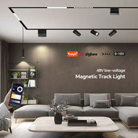 Système d'éclairage sur rail magnétique LED ultra-plat, rail linéaire encastré DC90-265V, télécommande intelligente