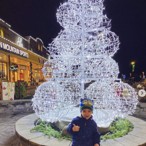 Luces LED <span class=keywords><strong>Gigantes</strong></span> <span class=keywords><strong>para</strong></span> Exteriores con Forma de Árbol de Navidad, Esfera Grande con Luces <span class=keywords><strong>para</strong></span> Decoración de Centros Comerciales Navideños - Product Image 6