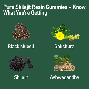 Nouveauté Cylindre Vert Extrait de Shilajit Gummies Suppléments minéraux pour adultes Renforcement du système d'emballage Dosage Gummy Candy - Product Image 4