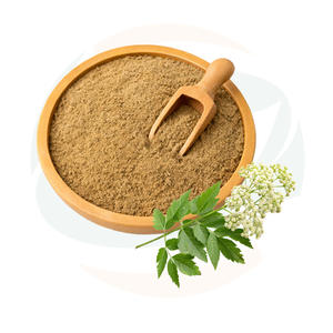 Çin Bitki Ürünleri Yüksek Kaliteli Bitki <span class=keywords><strong>Ligusticum</strong></span> <span class=keywords><strong>Wallichii</strong></span> Ekstrakt Tozu Rhizoma Chuanxiong Ekstrakt 4:1 10:1 TLC Tozu - Product Image 2