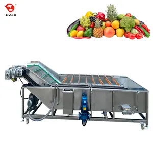 DZJX Fruit And Vegetable Cleaning Processing Line Machine Leaf Vegetable Bubble Clean Washing Machine With Ozone Brush