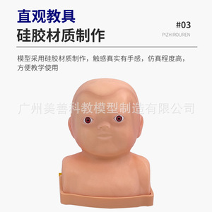 Complete infant head venous puncture model; bilateral infant scalp vein injection <b>training</b> and teaching model - Product Image 2