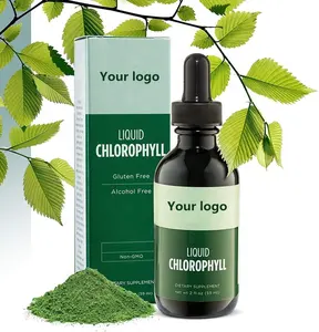 Échantillon gratuit Usine Prix de gros 2024 Amazon Vente Gouttes de chlorophylle liquide sans gluten Fournisseurs