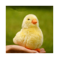 Les fabricants personnalisent la simulation de mini poussin animal en peluche douce jouets en peluche pour les cadeaux