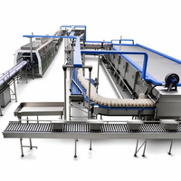 Groentensapverwerkingslijn Wortelsap productielijn Groentensapmachines