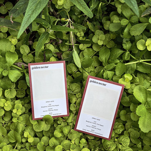 Papel Probador de <span class=keywords><strong>Perfume</strong></span> con Efecto Fantasma y Diseños Personalizables, Papel para Revelar el Aroma con Imagen Mágica - Product Image 5