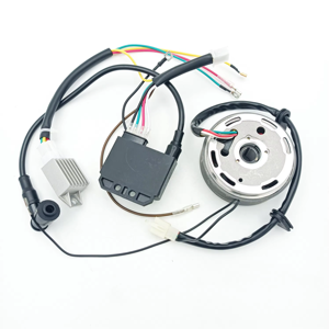 Bộ phận xe máy: Bộ phận đánh lửa + Cuộn dây đánh lửa + Bộ điều chỉnh cho xe ZUNDAPP - Product Image 1