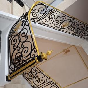 Elegante Puerta de Hierro de Estilo Francés con Diseño Técnico 2D y 3D para Uso Arquitectónico con Soporte Técnico en Línea - Product Image 6