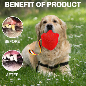 Küçük Köpekler İçin İnteraktif Yırtılmaz Çanta Oyuncak, Çiğneme, Getirme Eğitimi, Diş Çıkarma Oyunu, Orta Boy Yavru Köpekler İçin - Product Image 4
