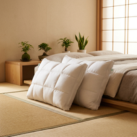 Oreiller en duvet de canard et d'oie respirant de qualité supérieure fabriqué en Chine, oreiller d'hôtel