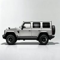 Modèle 2024 212 T01 Nouveau Turbo Gauche R17 Essence 2.0T Explorer Compac Tout-Terrain Robuste Style Chinois Très Rentable