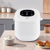 Cuisinière à riz multifonctionnelle à double tension 12v 24V, cuiseur à riz portable avec cuve antiadhésive, adapté aux voyages en plein air