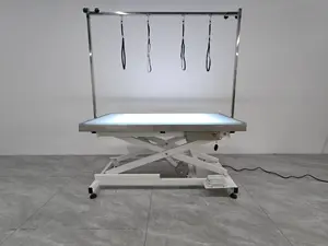 โต๊ะไฟฟ้า LED ปรับความสูงได้สำหรับโรงพยาบาลสัตวแพทย์