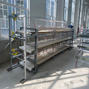 Jaula de Acero para Pollos/Pollos de Engorde, Nueva, de Alta Calidad, Duradera, en Forma de H, de Tres Niveles y <span class=keywords><strong>Dos</strong></span> Puertas, con Transportador, Vida Útil de 15 Años - Product Image 4