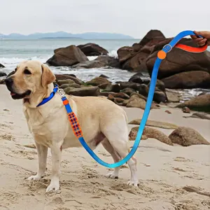 Fabricante de suministros para mascotas personalizado Color degradado de lujo Bungee retráctil correa de nailon para perros