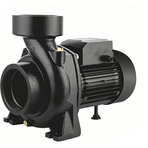 Pompe centrifuge solaire SCPM 72V à courant continu sans balais à haut débit pour l'irrigation agricole et le transfert d'eau, à économie d'énergie - Product Image 1