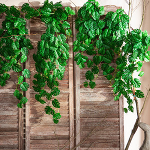 Plantas Artificiales Colgantes Surtidas, Hiedras Artificiales, Monstera, Eucalipto, para Decoración de Paredes de Hogar y Hotel, Proveedor Mayorista - Product Image 4