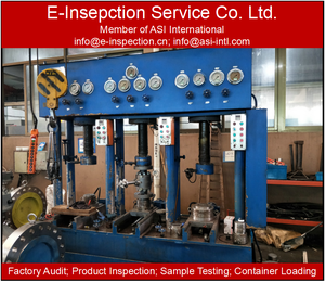 Serviço Inspeção Válvula Profissional na China COI Certificado Zhejiang Taizhou Hebei Cangzhou Shandong Serviço Inspeção - Product Image 5