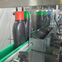 Ligne de remplissage automatique de shampoing à haute efficacité, entraînée électriquement, contrôlée par PLC, pour bouteilles en plastique